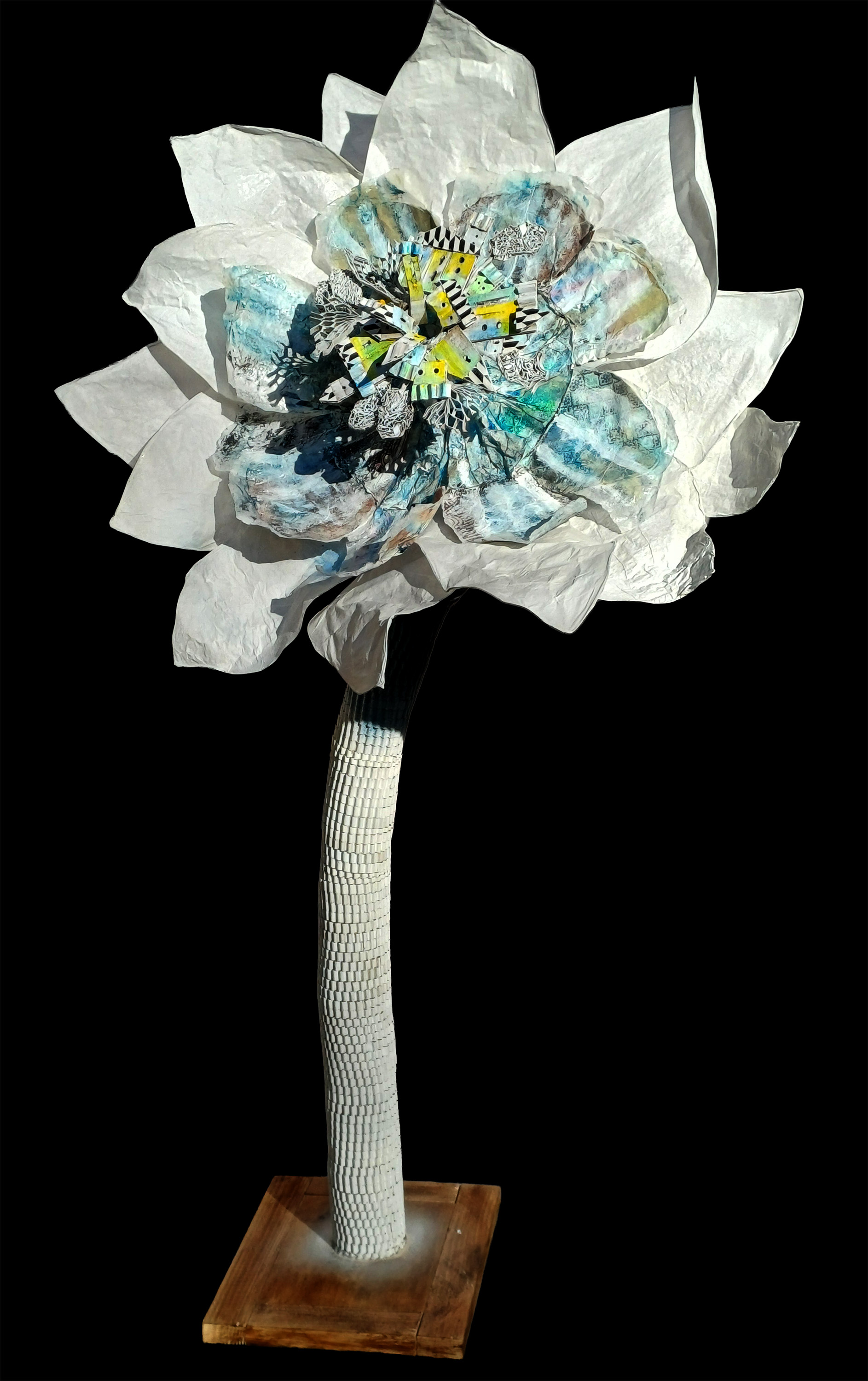 A la ville comme à la campagne